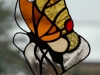 motyl 
